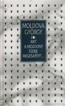Akit a mozdony füstje megcsapott... [antikvár]