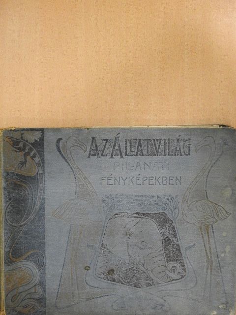 Dr. Heck L. - Az állatvilág pillanati fényképekben (rossz állapotú) [antikvár]