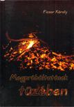 Ficsor Károly - Megpróbáltatások tüzében [antikvár]