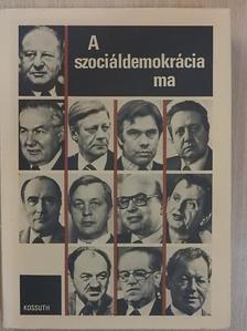 Bassa Endre - A szociáldemokrácia ma [antikvár]