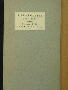 Johann Wolfgang Goethe - A férfi Goethe [antikvár]