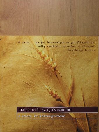 Befektetés az új évezredbe [antikvár]