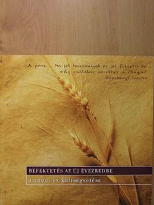 Befektetés az új évezredbe [antikvár]