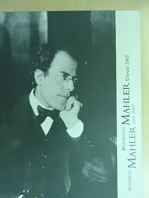 Dr. Ingo Schultz - Budapesti Mahler Ünnep 2007 [antikvár]