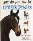 Tamsin Pickeral - The Encyclopedia of Horses & Ponies [antikvár]