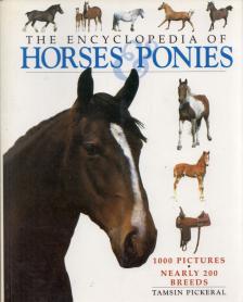Tamsin Pickeral - The Encyclopedia of Horses & Ponies [antikvár]