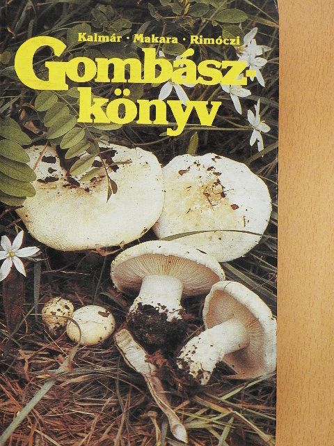 Kalmár Zoltán - Gombászkönyv (rossz állapotú) [antikvár]