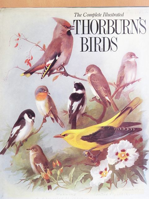 Archibald Thorburn - The Complete Illustrated Thorburn's Birds [antikvár]