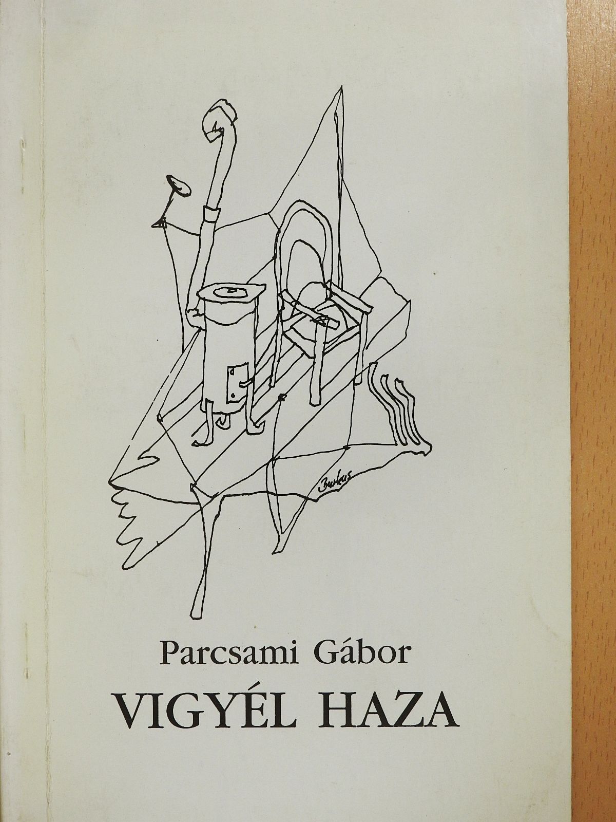Parcsami Gábor - Vigyél haza (dedikált példány) [antikvár]