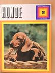 Hunde [antikvár]