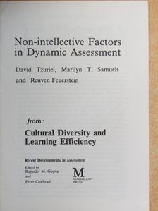 David Tzuriel - Non-intellective Factors in Dynamic Assessment [antikvár]