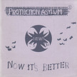 Szoboszlai János, Petrina Ildikó - Protection Asylum - New - Now it's Better [antikvár]