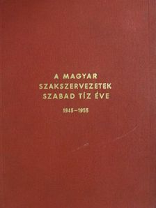 A magyar szakszervezetek szabad tíz éve [antikvár]