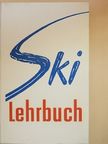 Dr. Fritz Reichert - Skilehrbuch [antikvár]