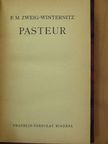 F. M. Zweig-Winternitz - Pasteur [antikvár]