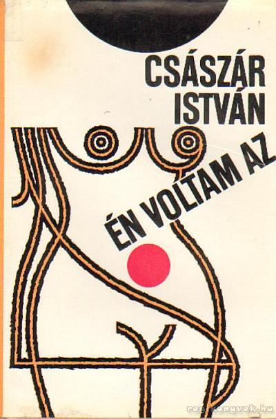 Császár István - Én voltam az [antikvár]