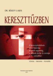 Békefy Lajos - Kereszttűzben [antikvár]