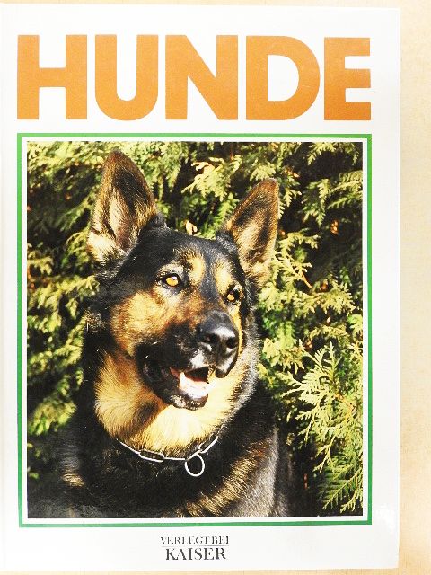 Angela Sayer - Hunde [antikvár]