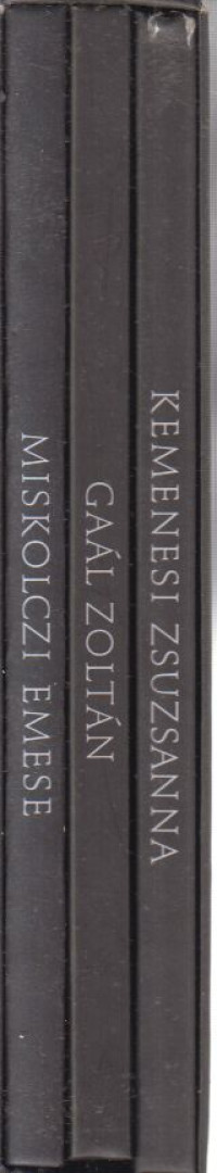 Miskolczi Emese, Gaál Zoltán, Kemenesi Zsuzsanna - Csak képek: Önarcképek / Közterek / Magánbeszéd [antikvár]