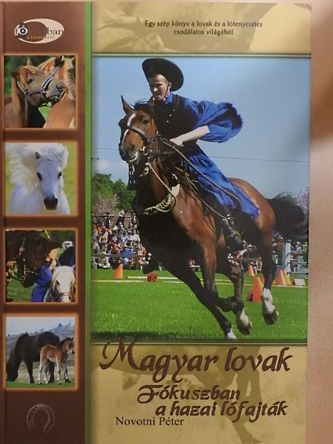 Novotni Péter - Magyar lovak [antikvár]