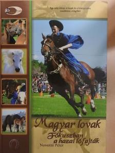 Novotni Péter - Magyar lovak [antikvár]