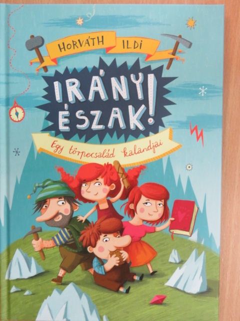 Horváth Ildi - Irány észak! [antikvár]