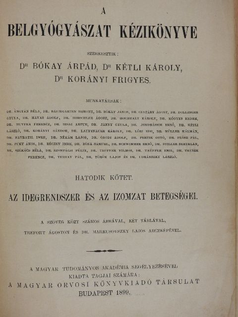 Dr. Jendrássik Ernő - A belgyógyászat kézikönyve VI. [antikvár]