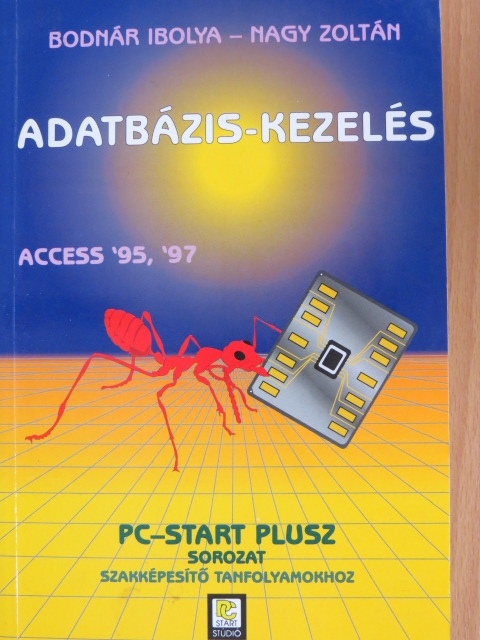 Bodnár Ibolya - Adatbázis-kezelés [antikvár]