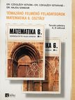 Dr. Czeglédy István - Témazáró felmérő feladatsorok - matematika 6. osztály [antikvár]