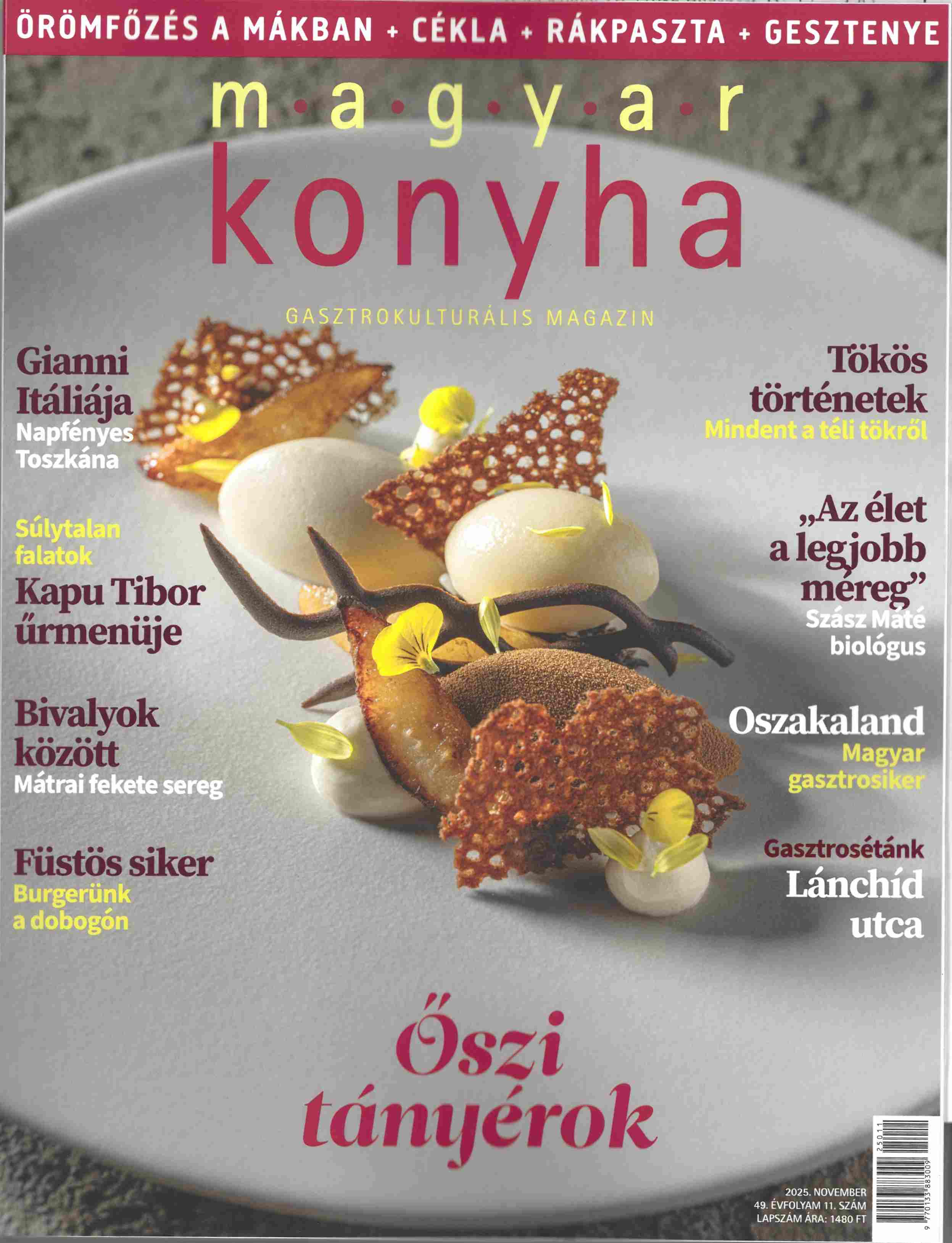 Magyar konyha 2025. november