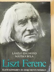 László Zsigmond - Liszt Ferenc [antikvár]