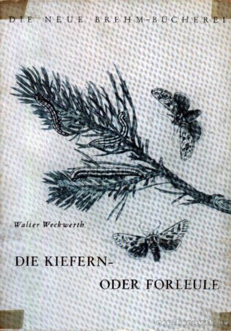 Weckwerth, Walter - Die Kiefern- oder Forleule (A fenyőbagoly) [antikvár]