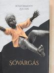 Böszörményi Zoltán - Sóvárgás [antikvár]