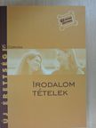 Kállay G. Katalin - Irodalom tételek [antikvár]