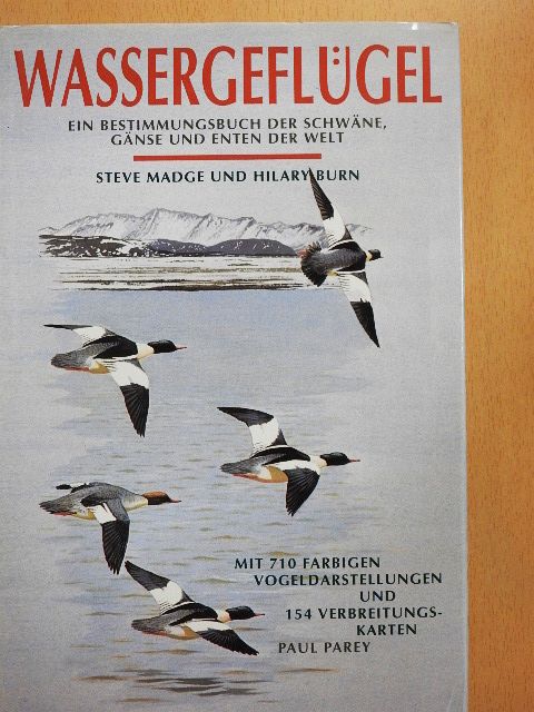 Steve Madge - Wassergeflügel [antikvár]