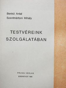 Benkő Antal - Testvéreink szolgálatában [antikvár]