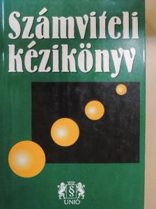 Dr. Bíró Tibor - Számviteli kézikönyv [antikvár]