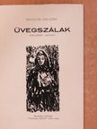 Bodicsi Zsuzsa - Üvegszálak (aláírt példány) [antikvár]