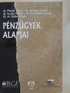 Dr. Madár Péter - Pénzügyek alapjai [antikvár]