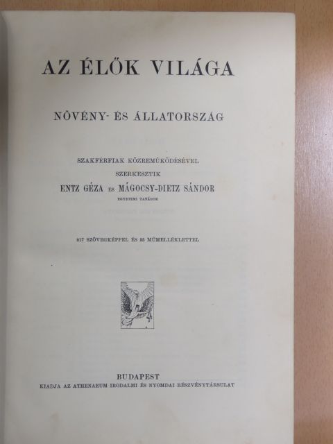 Klein Gyula - Az élők világa [antikvár]