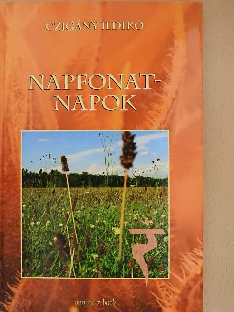 Czigány Ildikó - Napfonat-napok [antikvár]