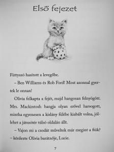 Holly Webb - Maszat, az elrabolt kiscica [antikvár]