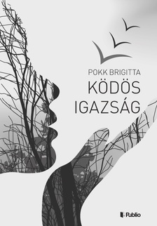 Brigitta Pokk - Ködös igazság [eKönyv: epub, mobi]