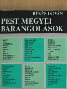Békés István - Pest megyei barangolások [antikvár]