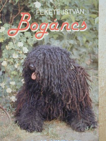 Fekete István - Bogáncs [antikvár]