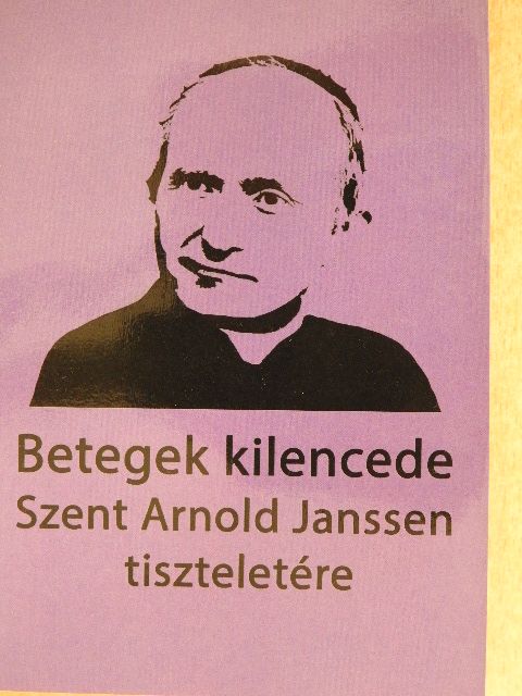 Betegek kilencede - Szent Arnold Janssen tiszteletére [antikvár]