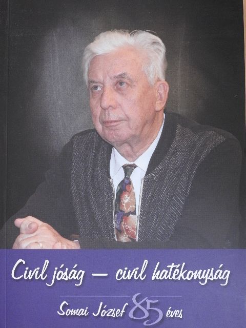Bakk Miklós - Civil jóság - civil hatékonyság [antikvár]