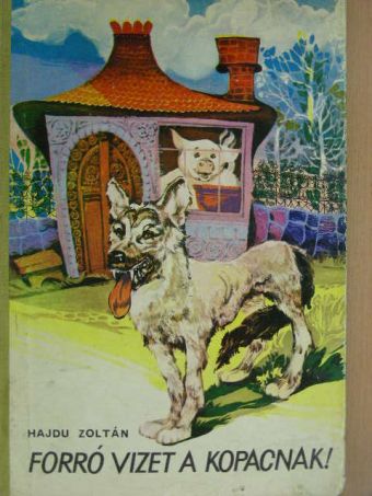 Hajdu Zoltán - Forró vizet a kopacnak! [antikvár]