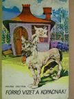 Hajdu Zoltán - Forró vizet a kopacnak! [antikvár]
