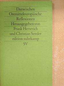 Jan Strzelecki - Dazwischen Ostmitteleuropäische Reflexionen [antikvár]